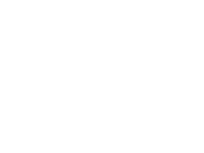 FicxPro